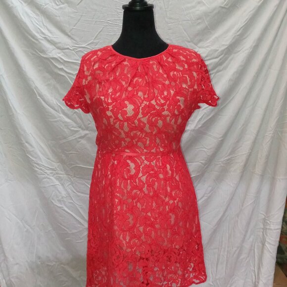 ️👗Red Lace Adrianna Papell Knee Length Dress Sz 14P Flutter Sleeves Fairycore - Picture 6 of 7
